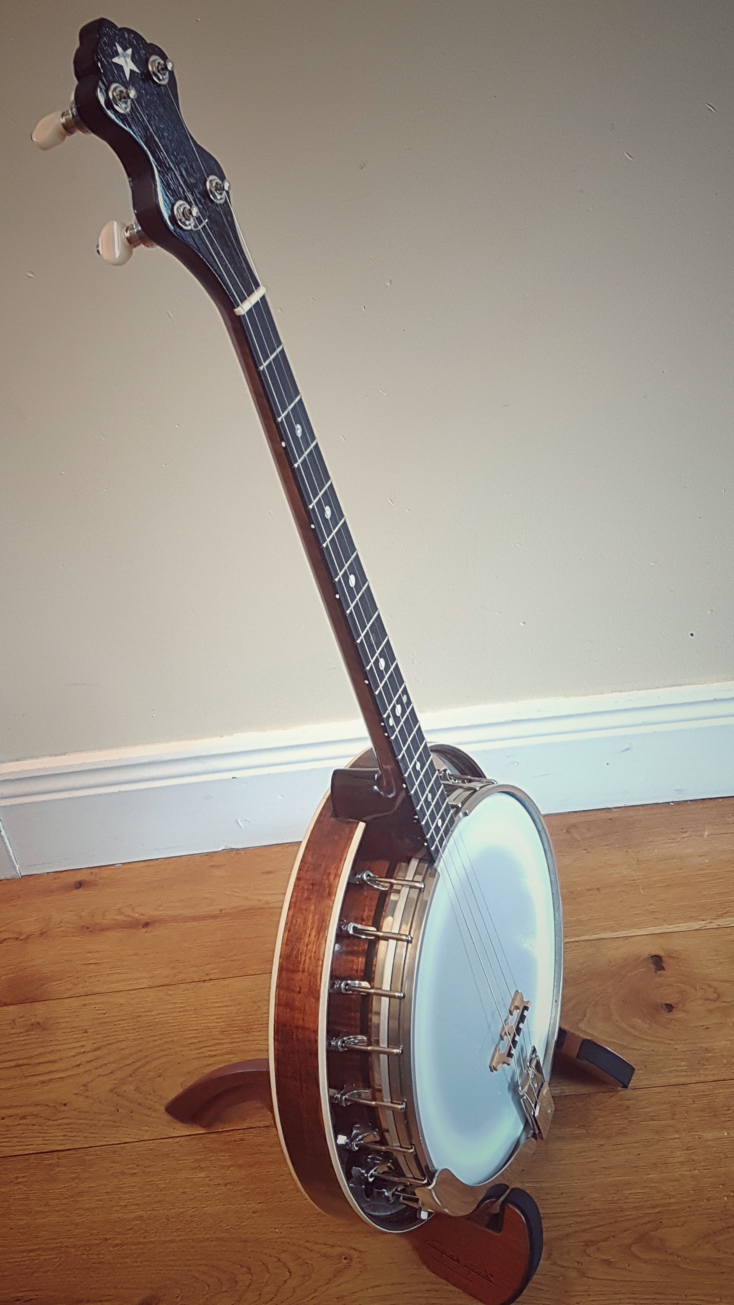 Pure Banjo Maybell Tenor Banjo